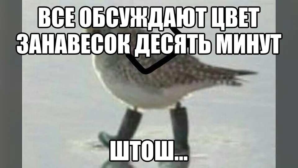 Птица в сапогах с подписью «Все обсуждают цвет занавесок десять минут. Штош…»
