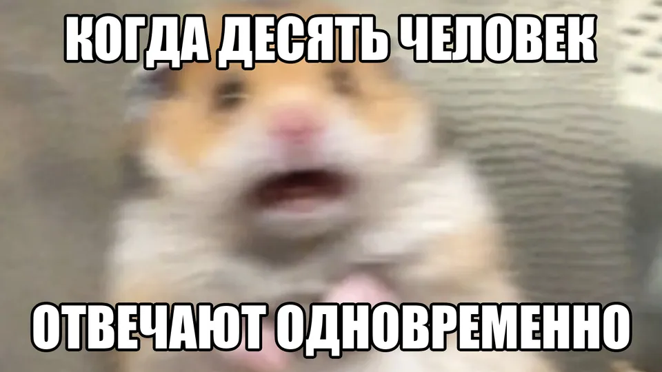 Мем: испуганный хомяк реагирует на десять одновременных ответов