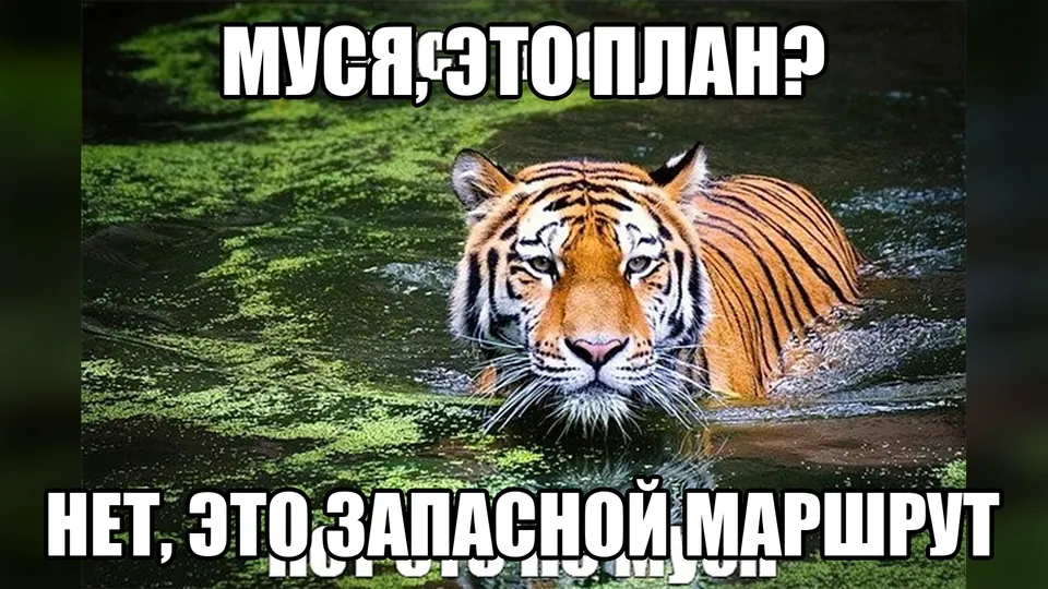 Мем: гибкий план на час оказывается запасным маршрутом