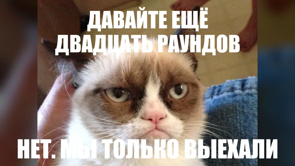 Сердитая кошка с подписью «Давайте ещё двадцать раундов. Нет, мы только выехали»